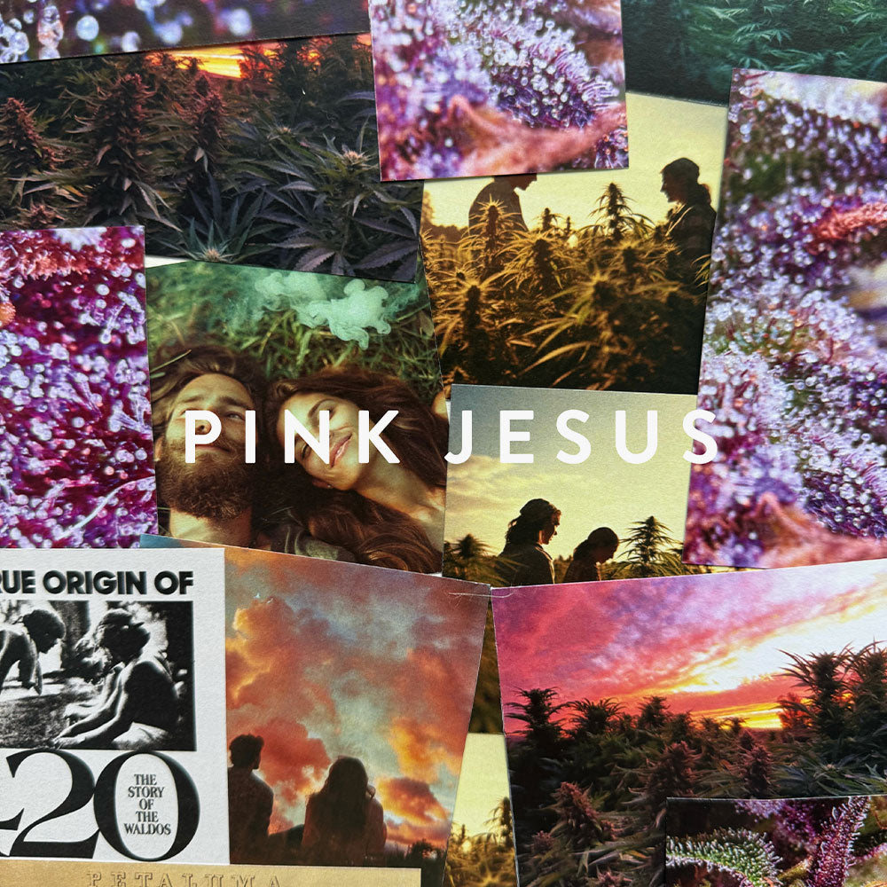Pink Jesus – Eau de Parfum – 9ml