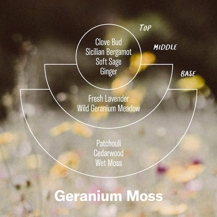P.F. Candle Co. Alchemy Line: Geranium Moss – Incense Cones