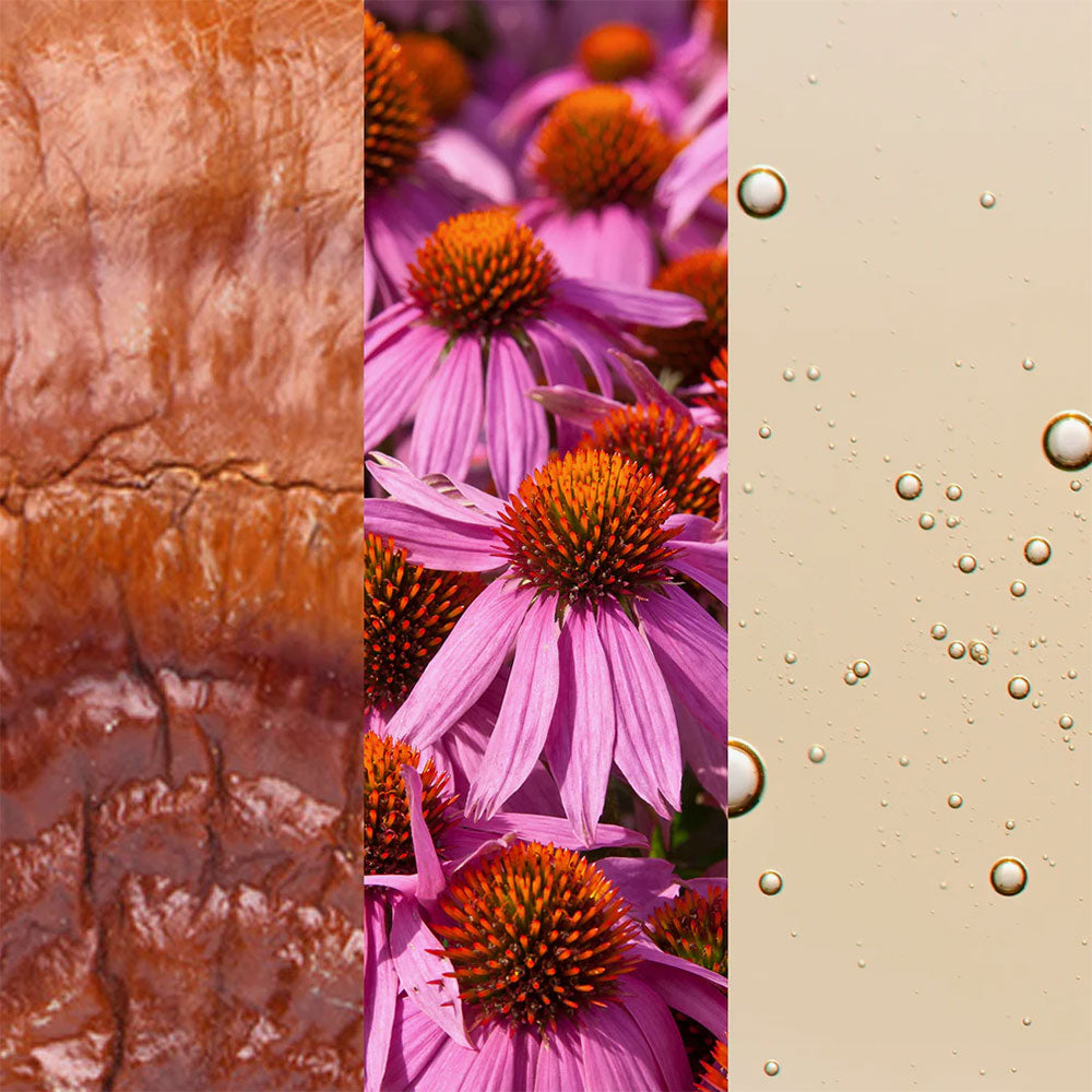 Skin Renewal Toner Mist