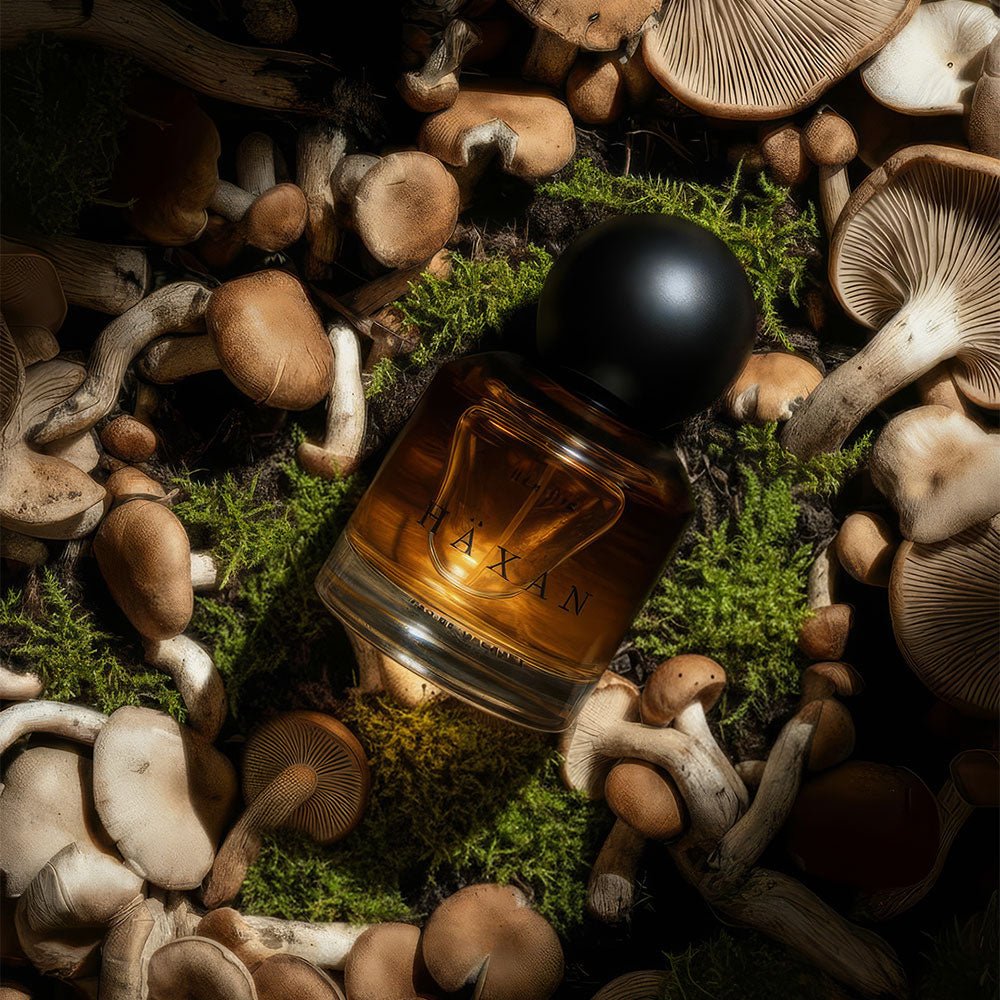 Heretic Parfum Häxan – Eau de Parfum – 30ml von Douglas Little in der Duftnote Resinous, Spicy, Woody-Green