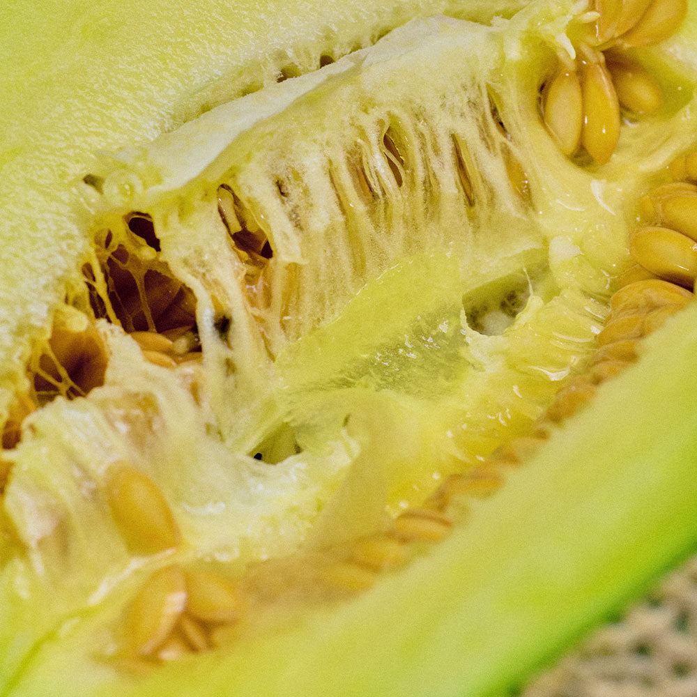 Melón Malo – Extrait de Parfum – Sample
