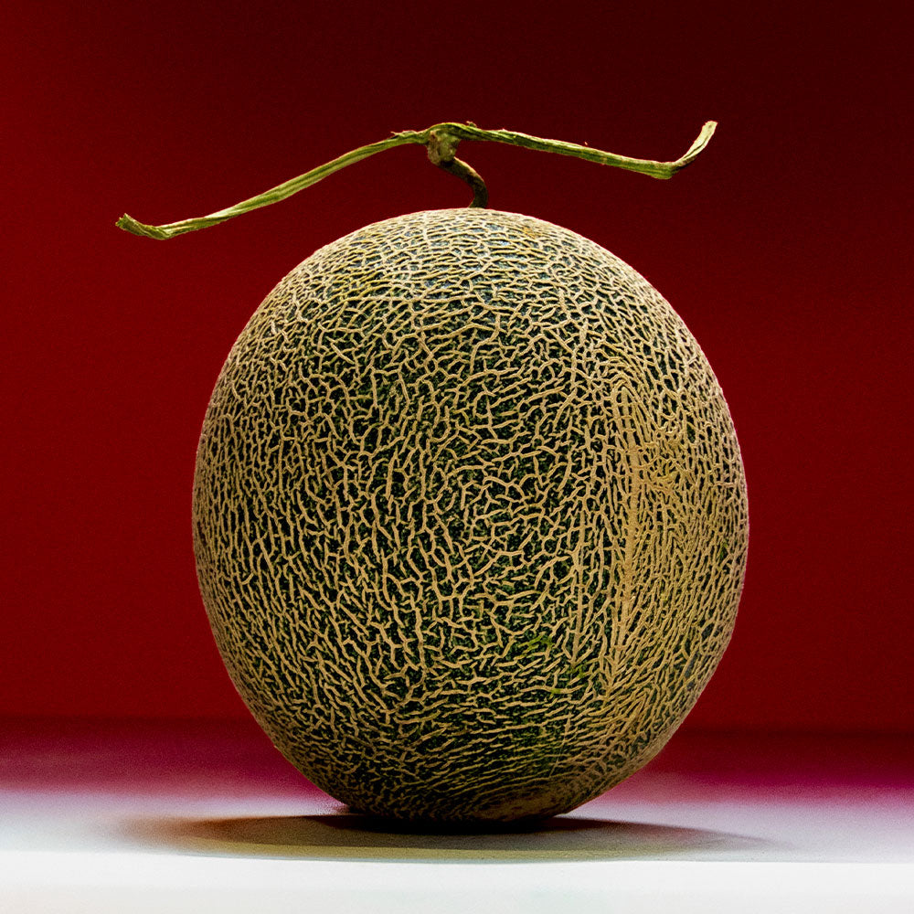 Melón Malo – Extrait de Parfum – Sample