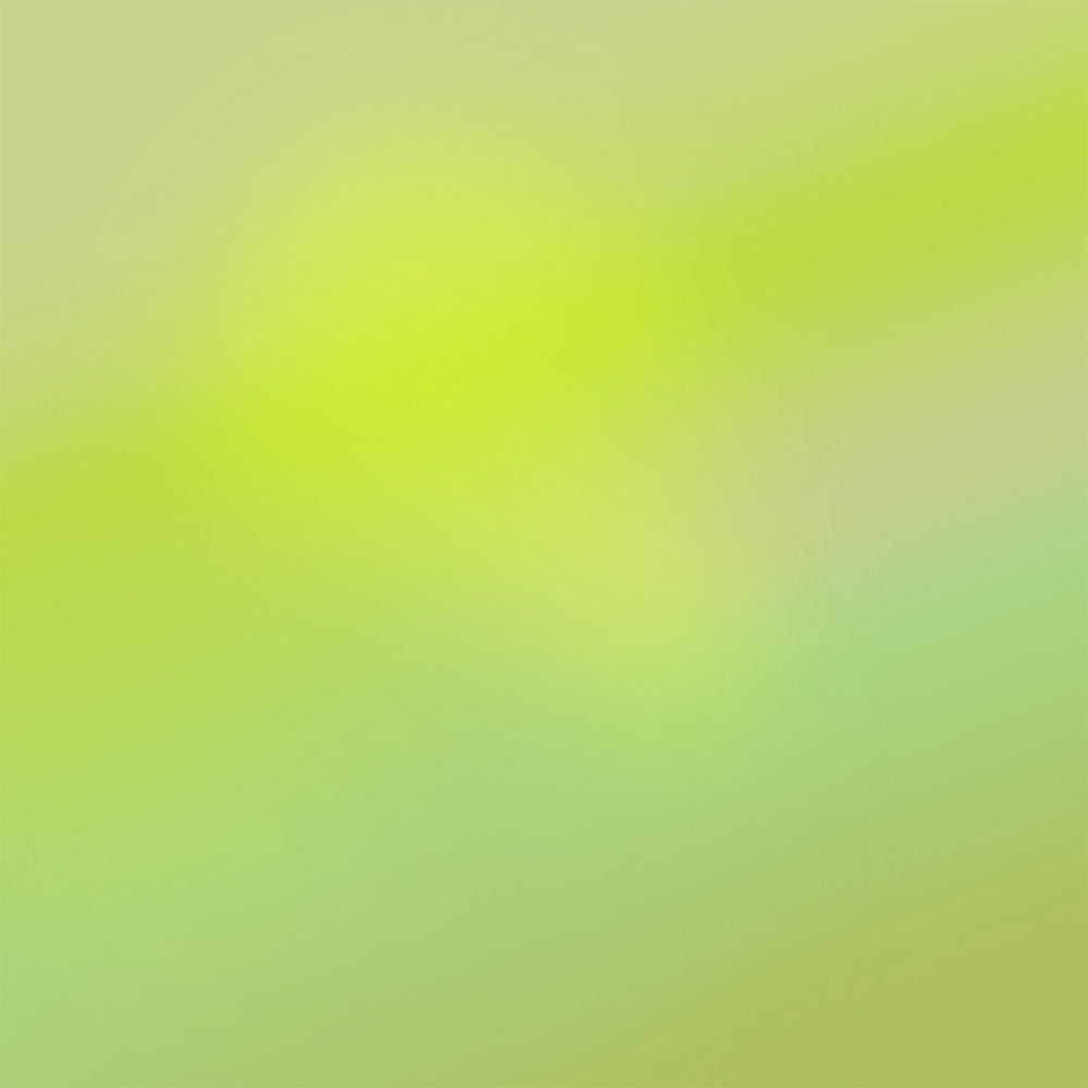 05 “Spring” – Eau de Parfum – 50ml