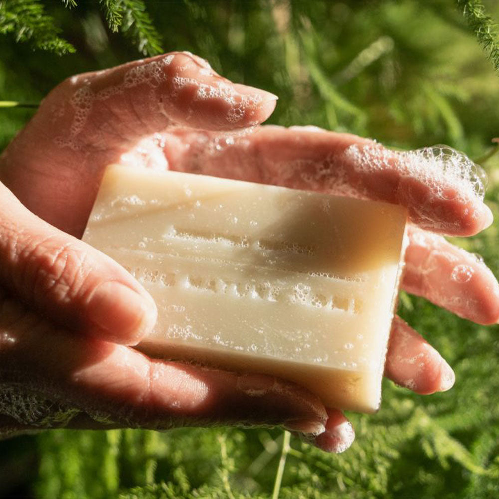 Juniper Ridge Cascade Forest – Bar Soap