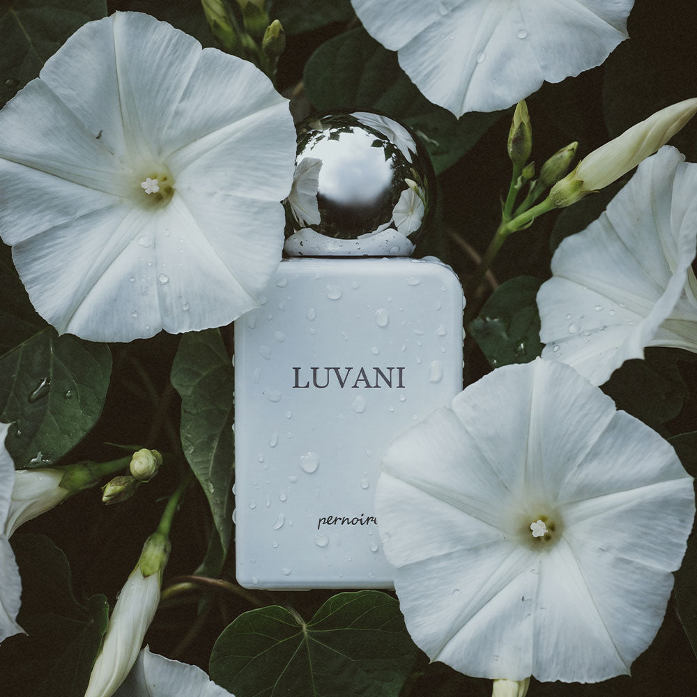 Luvani – Extrait de Parfum – 50ml
